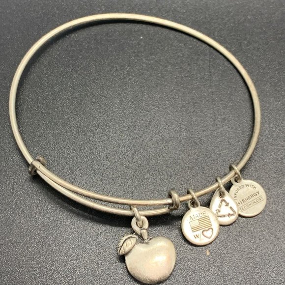 Alex and Ani Jewelry - Alex and Ani Silver Apple of Abundance Charm Bangle Bracelet Wisdom Teacher